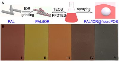 Mechanically Robust and Thermally Stable Colorful Superamphiphobic Coatings